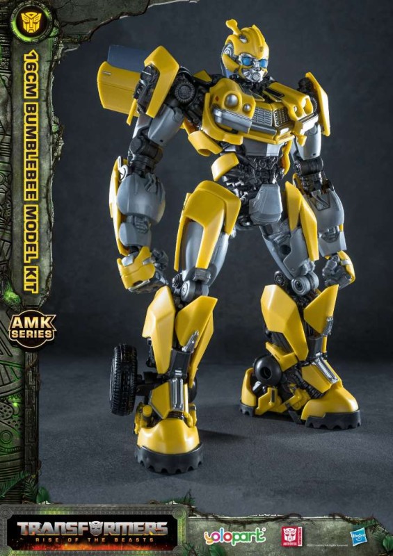5_x6m7-7g.jpg