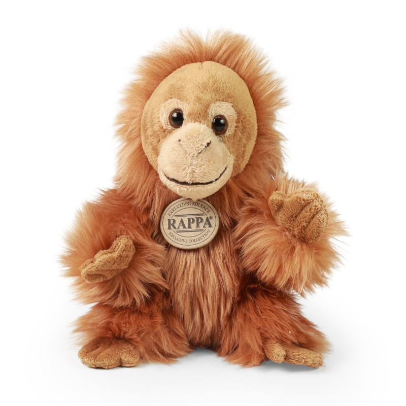orangutan181.jpg
