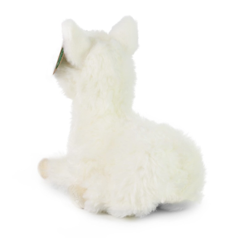 lama233.jpg