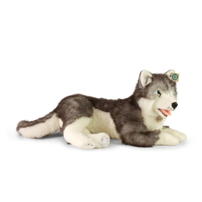huskya2.jpg