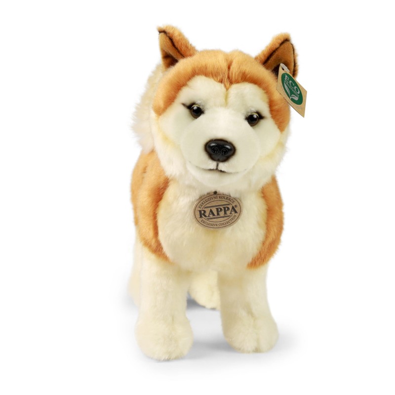 akita2.jpg