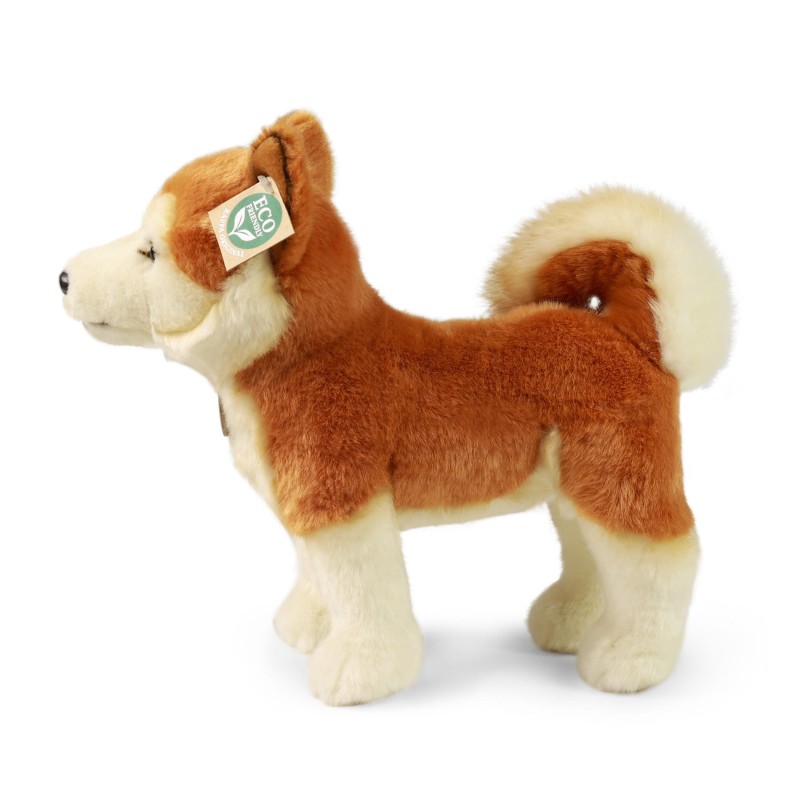 akita3.jpg