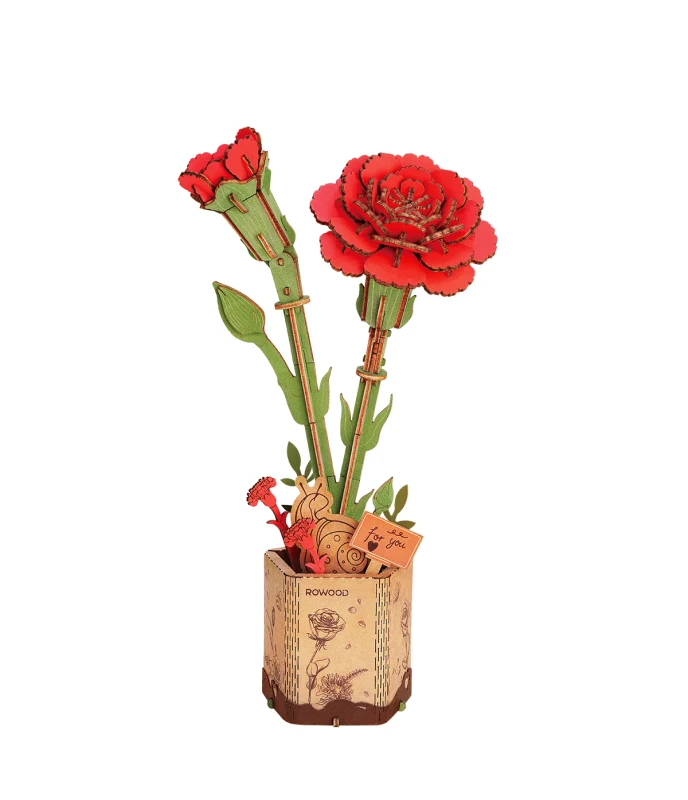 TW052-main.webp