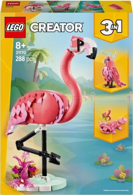 flam.JPG
