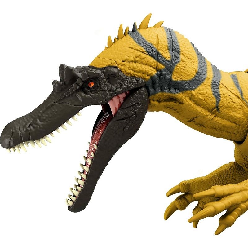 cera3.jpg