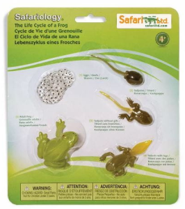 Safari Ltd - Zestaw figurek - Cykl życia żaby 69104
