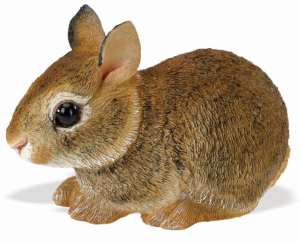 Safari Ltd - Figurka Królik florydzki mały - 262129