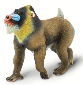 Safari Ltd - Figurka Madryl Barwnolicy - 100273