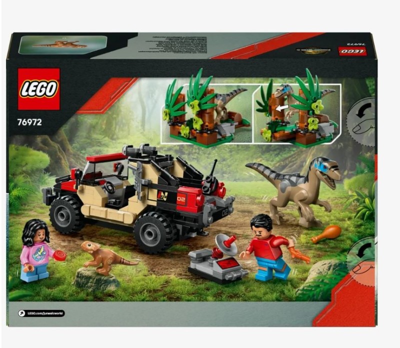 Raptor4.JPG