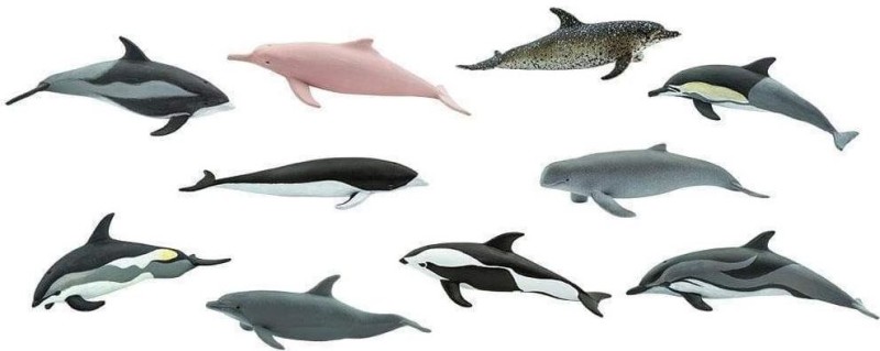 delfiny1.JPG