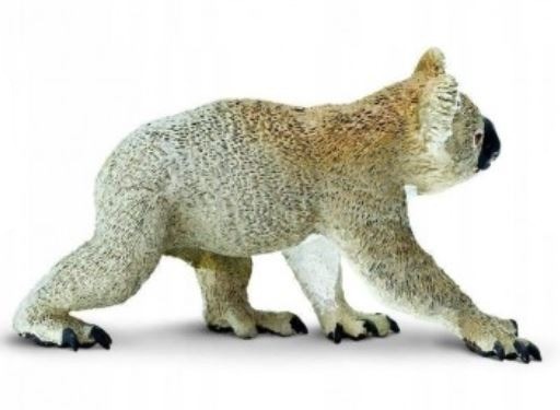 koala1.JPG