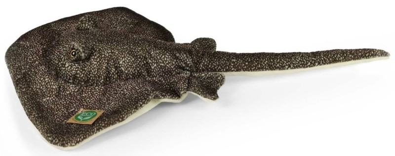 manta3.JPG