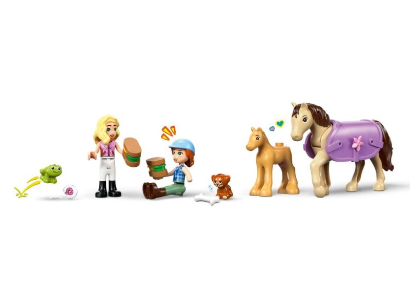 42695-bryczka3.jpg