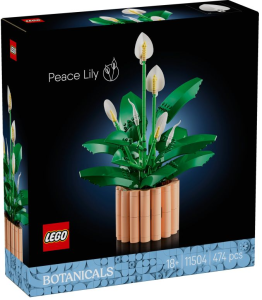 LEGO Botanicals 11504 Skrzydłokwiat