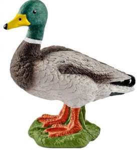 Schleich - Figurka Kaczor Kaczka - 13824