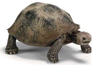 Schleich – Figurka Żółw olbrzymi 17015