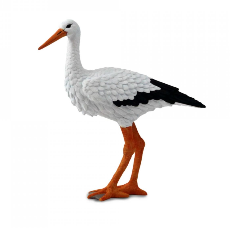 bocian.png