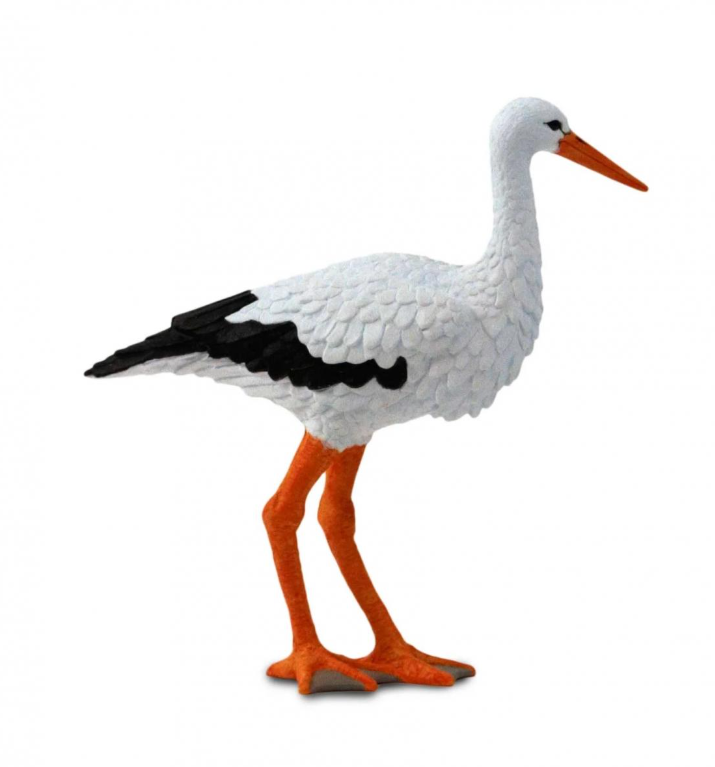 bocian-1.png
