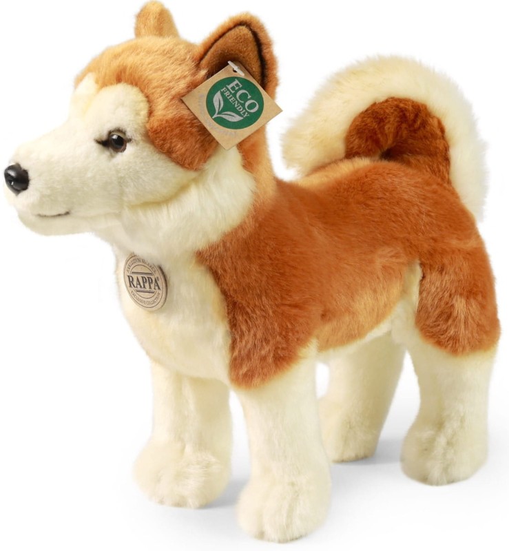 akita.jpg