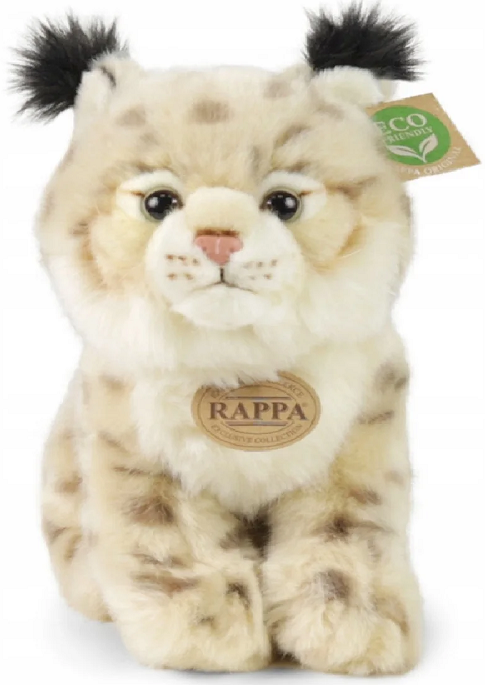 rys.png
