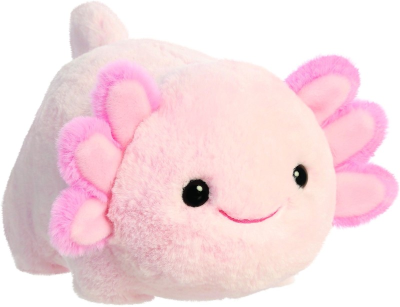 aksolotl.jpg