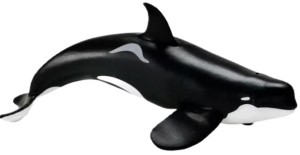 Safari Ltd. - Figurka Orka typu D - 103538