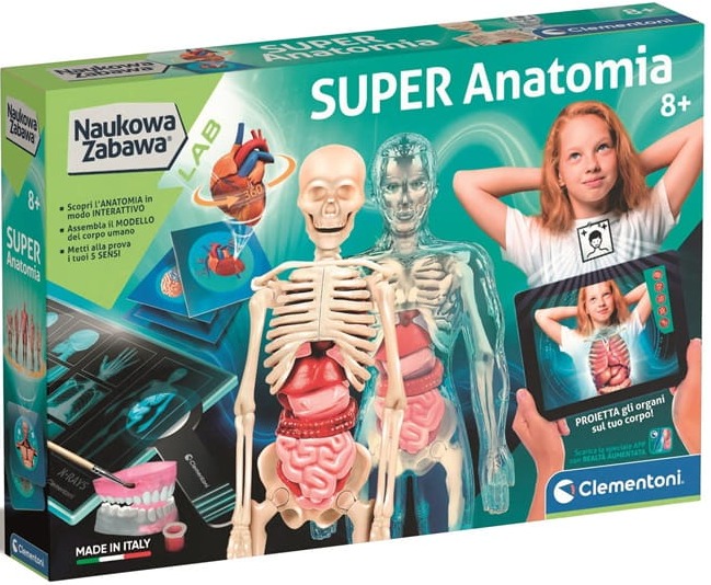 anatomia.jpg