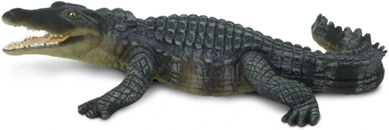 272729-krokodyl.jpg