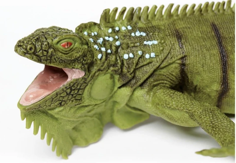 iguana-1.png