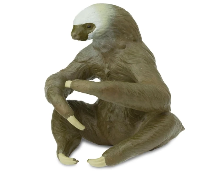 leniwiec-1.png