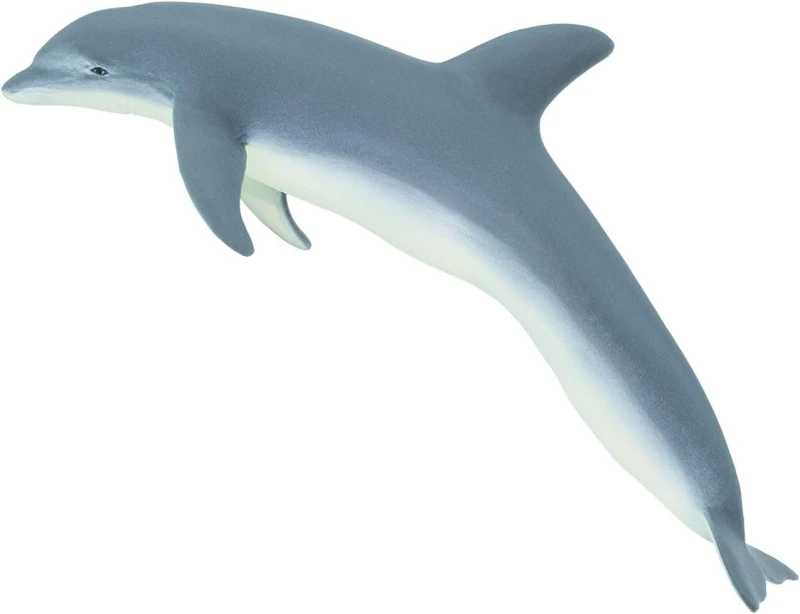 210802-delfin.jpg