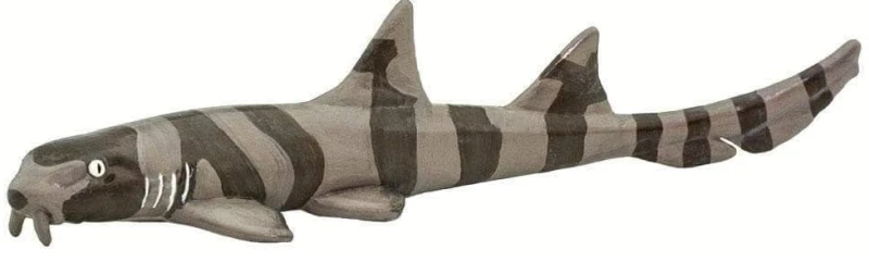 rekin.png