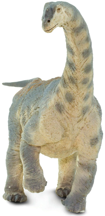 Camarasaurus-2.png