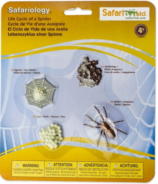Safari Ltd - Zestaw figurek - Cykl życia pająka 100406