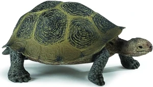 Safari – Figurka Żółw stepowy 295329