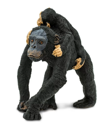 szympans2.png