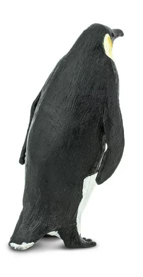 cesarski4.JPG