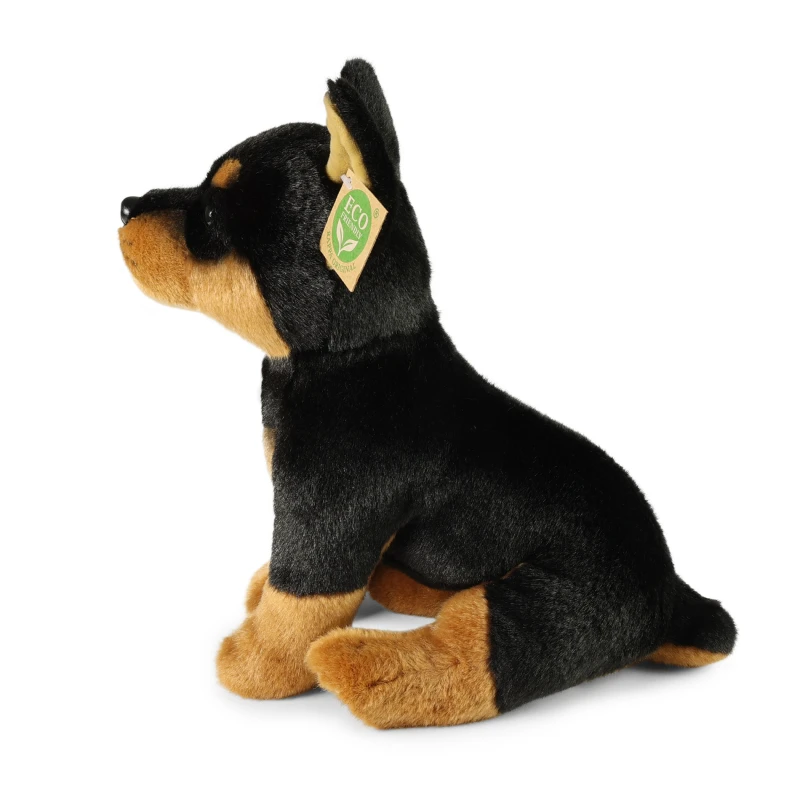 260375-doberman2.jpg