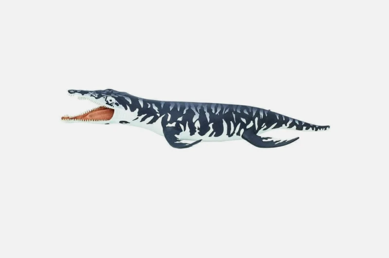Kronosaurus .3.png