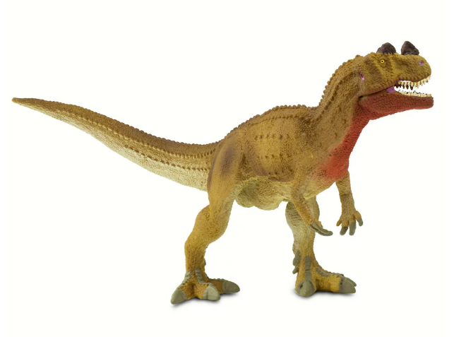 cerato2.PNG