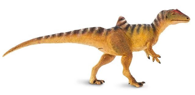 conca.PNG