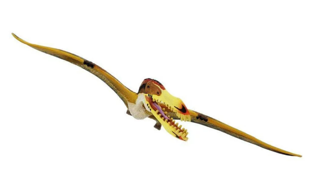 pteroz3.PNG