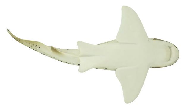 rogatek4.JPG