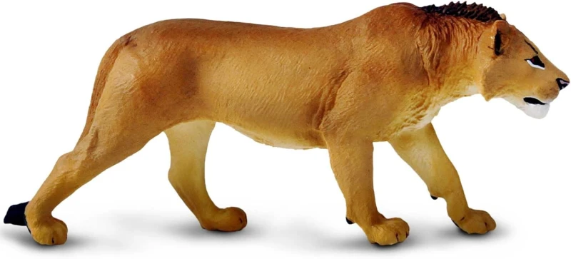 lews3.jpg
