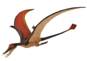Safari Ltd -  Figurka Ramphorhynchus 300329
