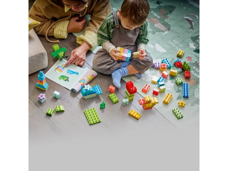 10479-duplo5.jpg