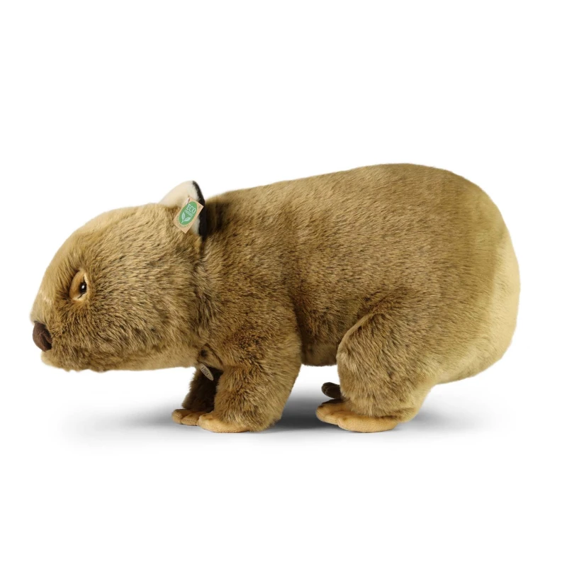 251090-wombat3.jpg