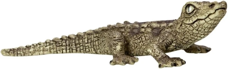 14683-krokodyl.jpg