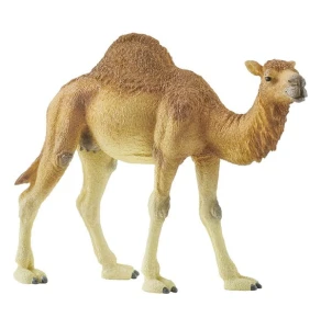 Schleich - Figurka Wielbłąd Dromader - 14832