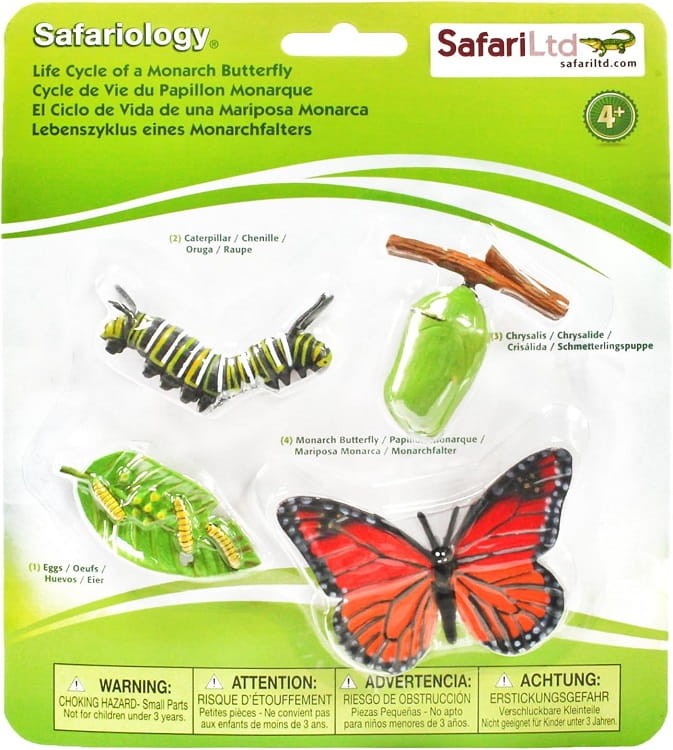 Safari Ltd - Zestaw figurek - Cykl życia motyla 622616